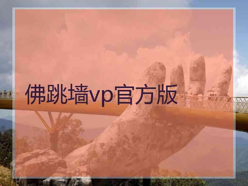 佛跳墙vp官方版