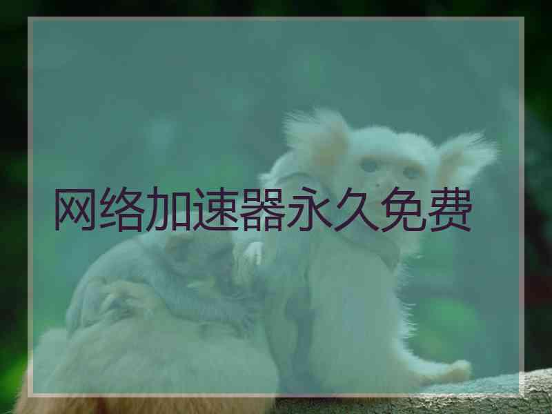 网络加速器永久免费
