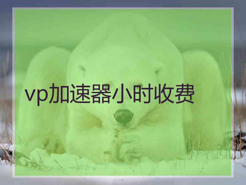 vp加速器小时收费