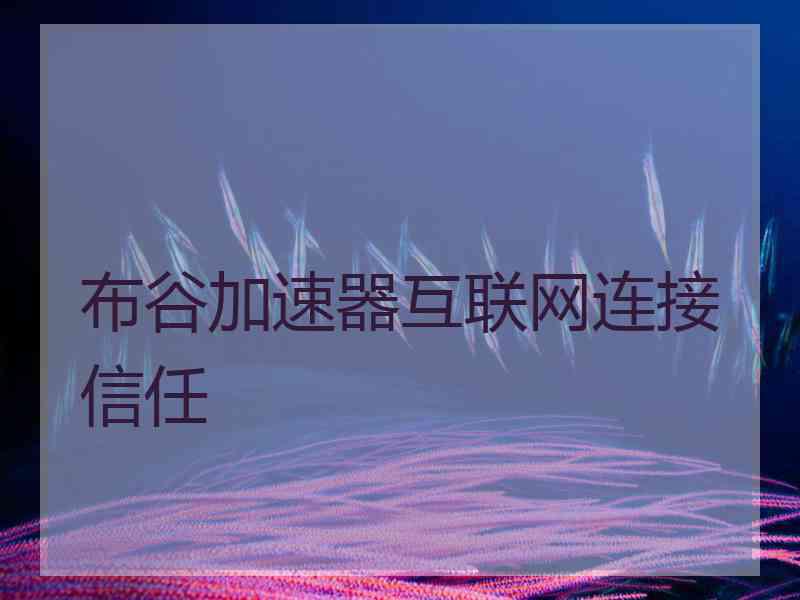 布谷加速器互联网连接信任
