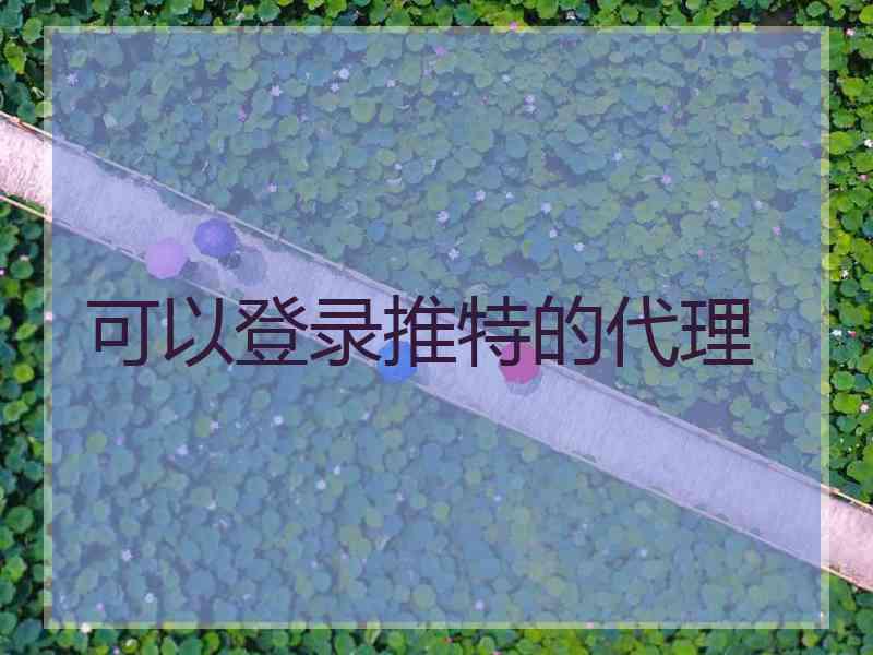 可以登录推特的代理