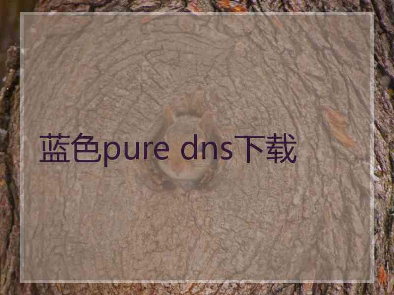 蓝色pure dns下载