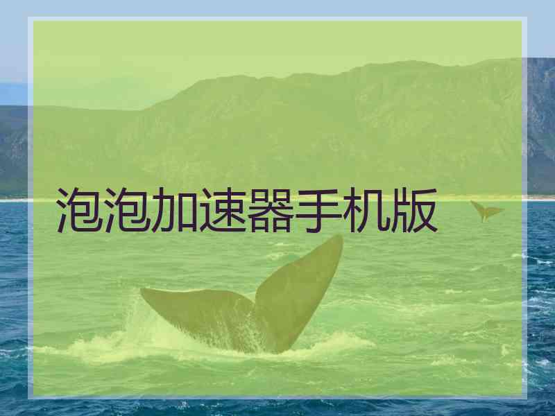 泡泡加速器手机版