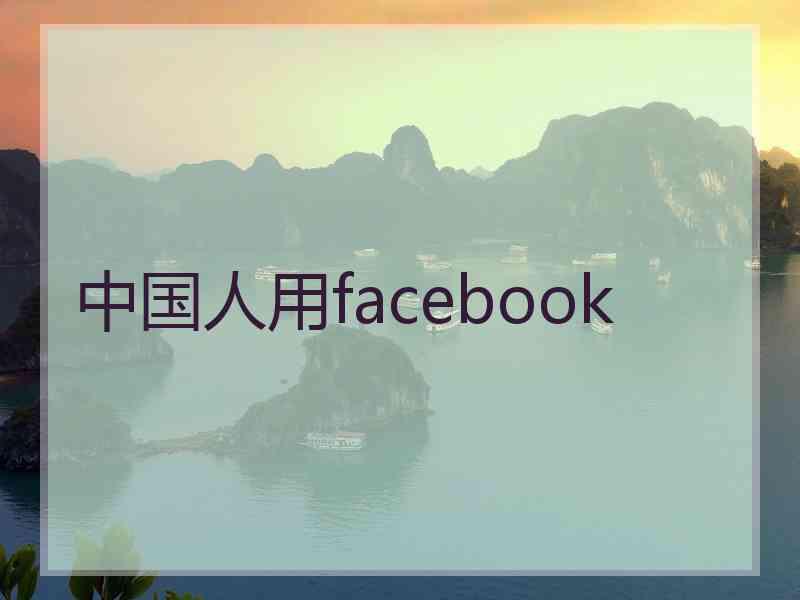 中国人用facebook