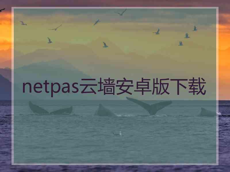 netpas云墙安卓版下载