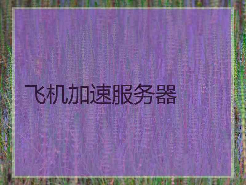 飞机加速服务器