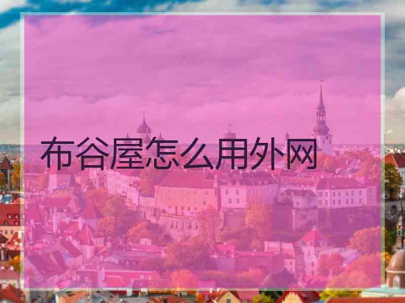 布谷屋怎么用外网
