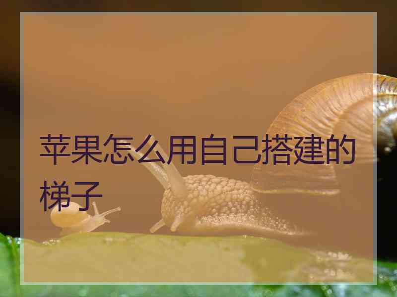 苹果怎么用自己搭建的梯子