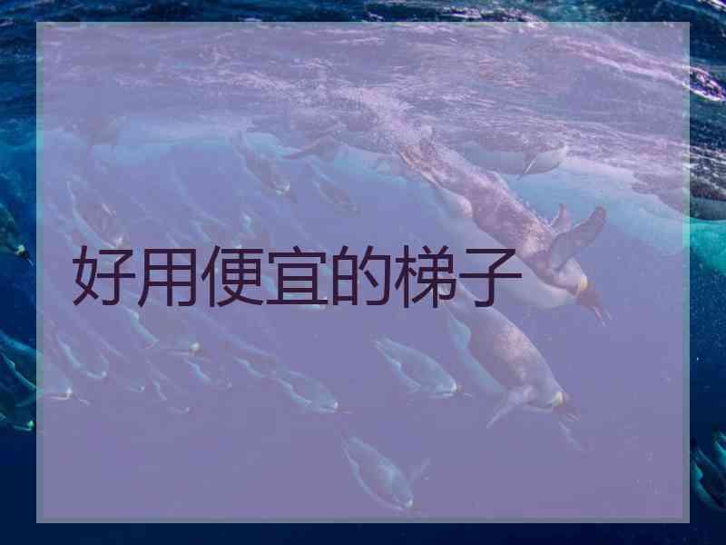 好用便宜的梯子