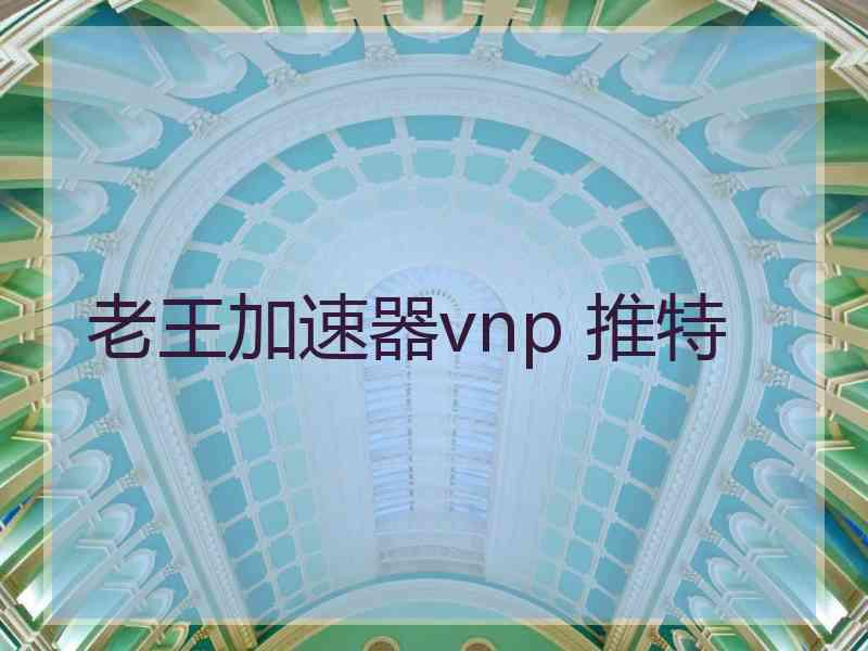老王加速器vnp 推特