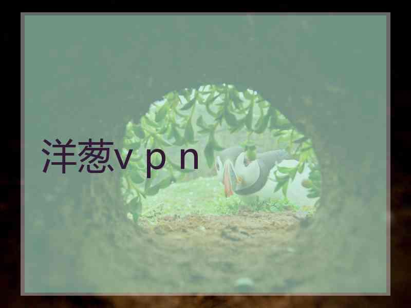 洋葱v p n