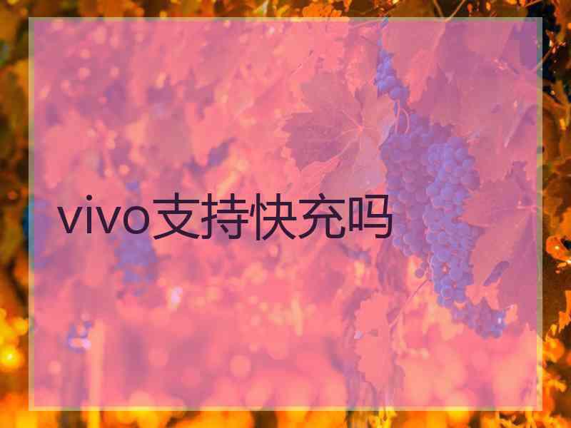 vivo支持快充吗