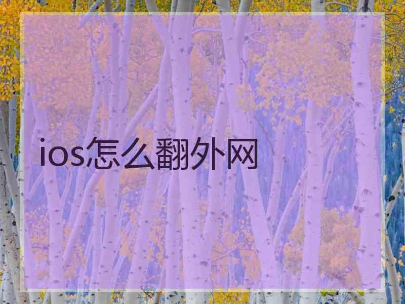 ios怎么翻外网