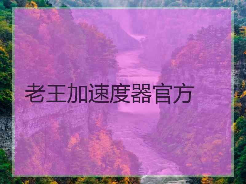老王加速度器官方