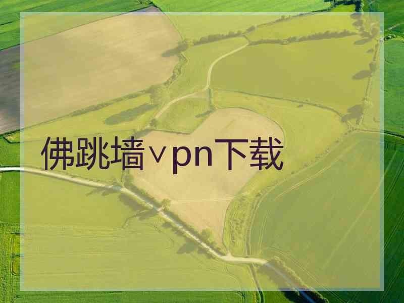 佛跳墙∨pn下载