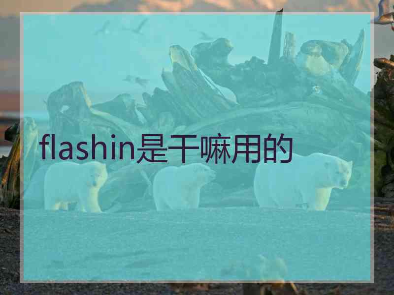 flashin是干嘛用的
