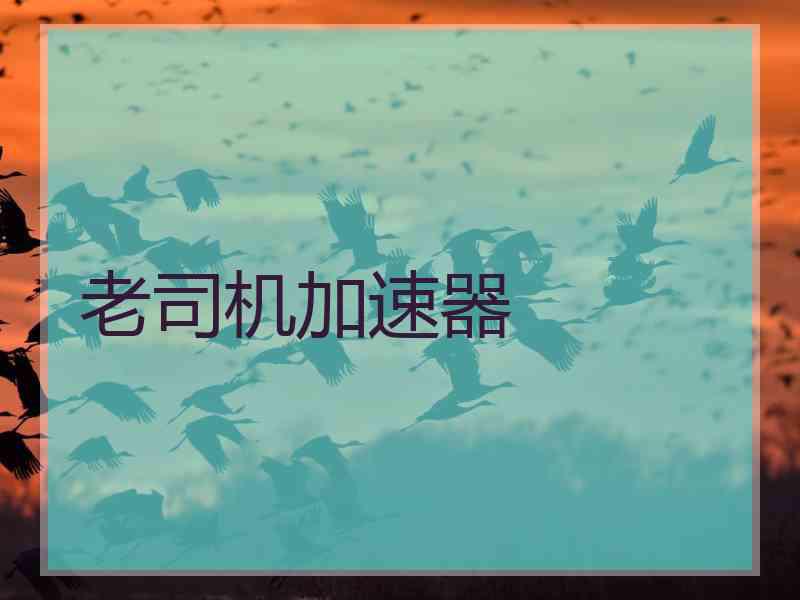 老司机加速器