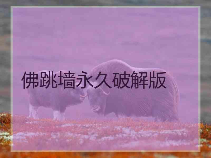 佛跳墙永久破解版