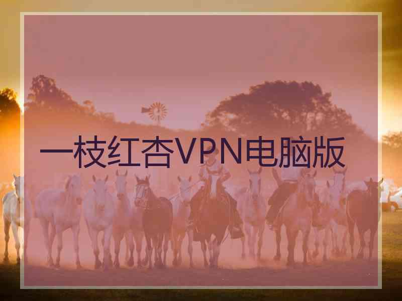 一枝红杏VPN电脑版