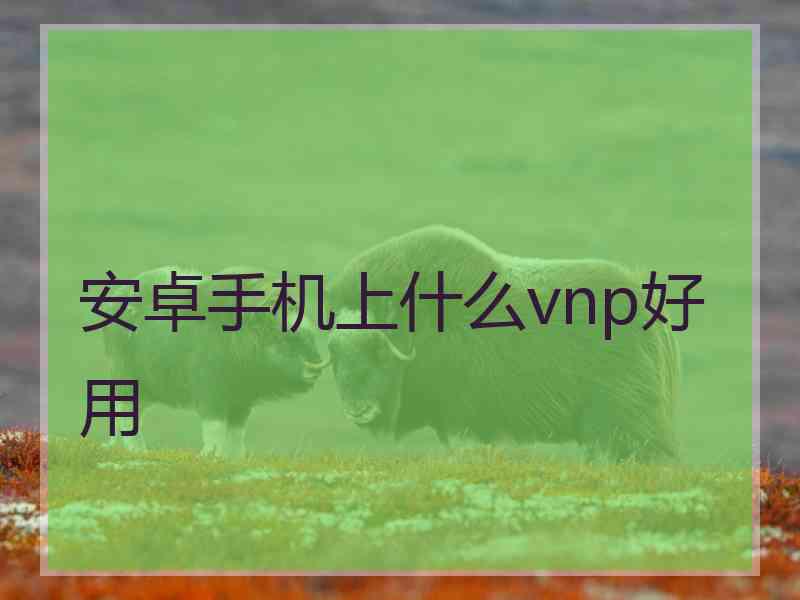 安卓手机上什么vnp好用