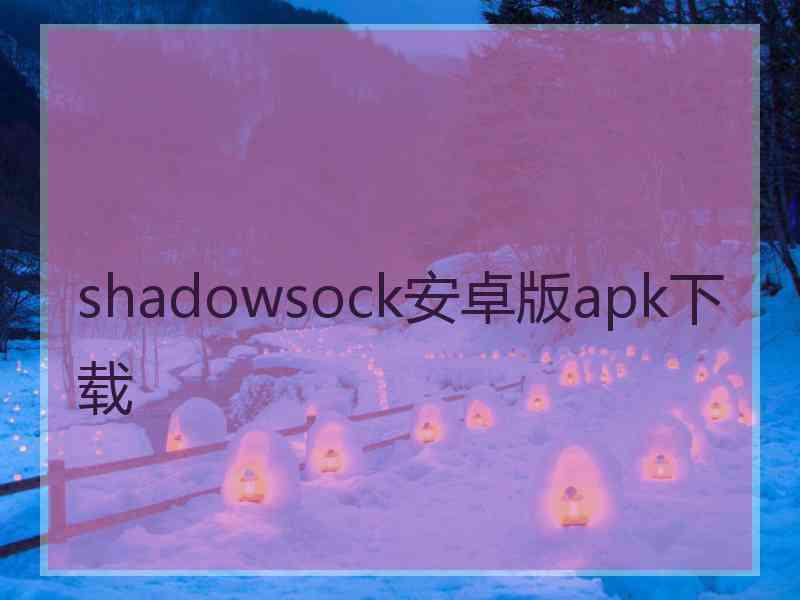 shadowsock安卓版apk下载