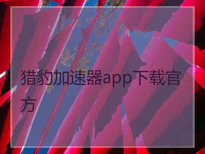 猎豹加速器app下载官方