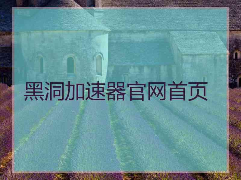 黑洞加速器官网首页