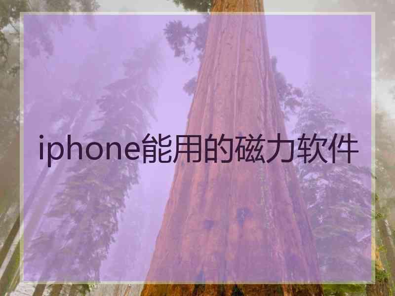 iphone能用的磁力软件