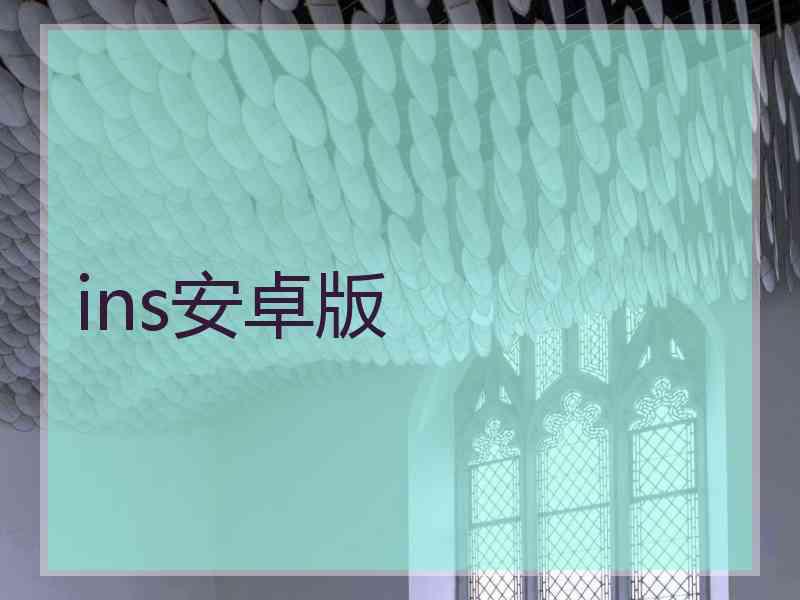 ins安卓版