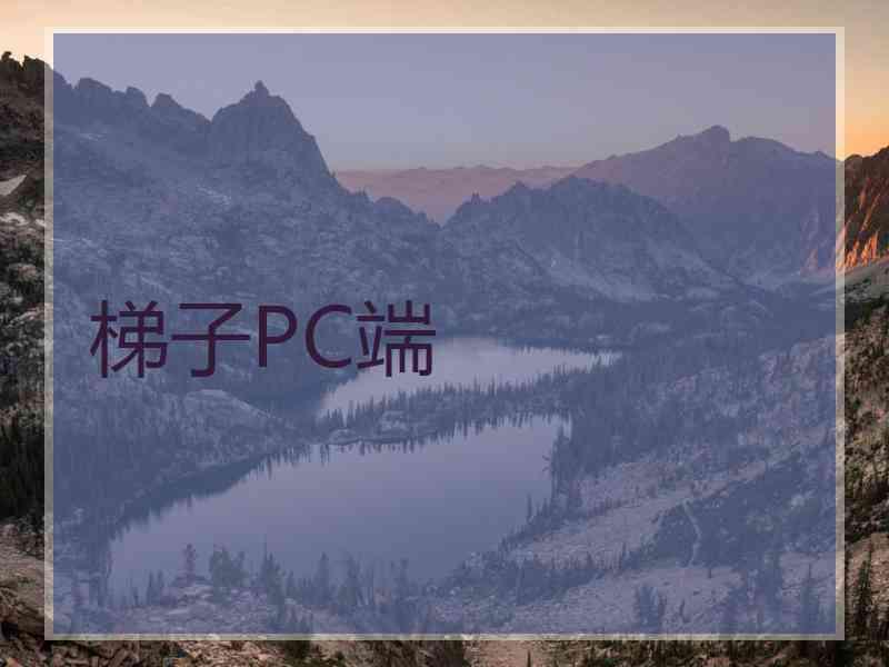 梯子PC端