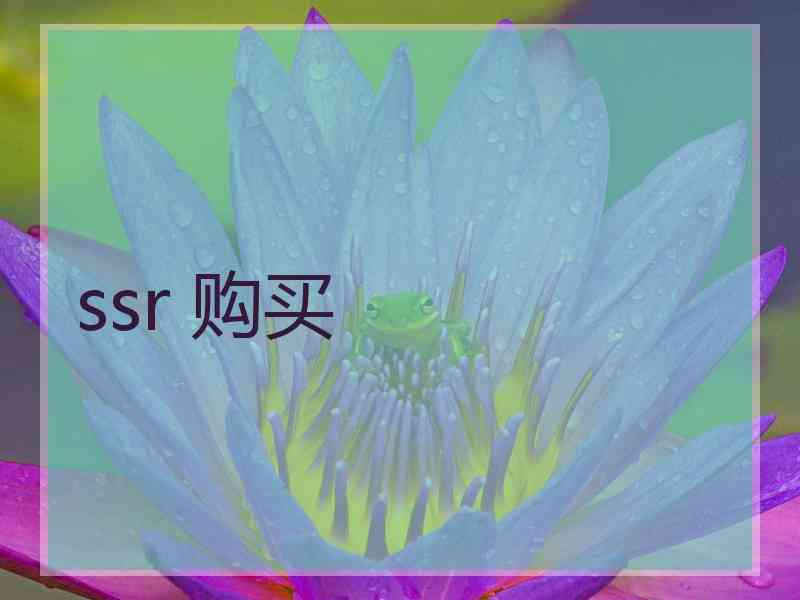 ssr 购买