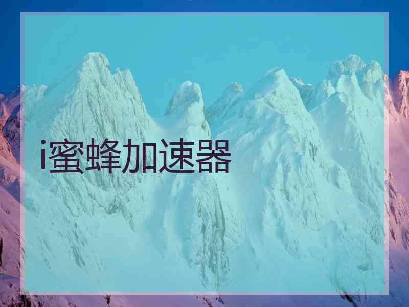 i蜜蜂加速器