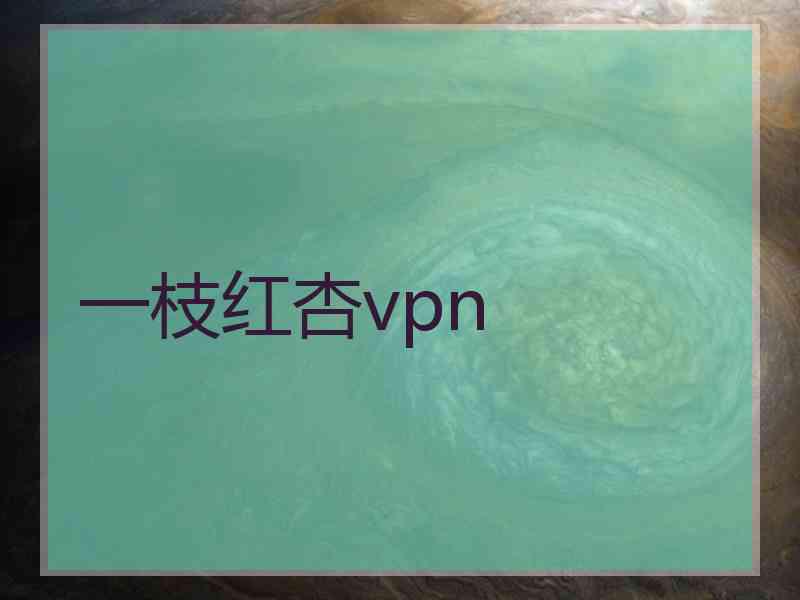 一枝红杏vpn
