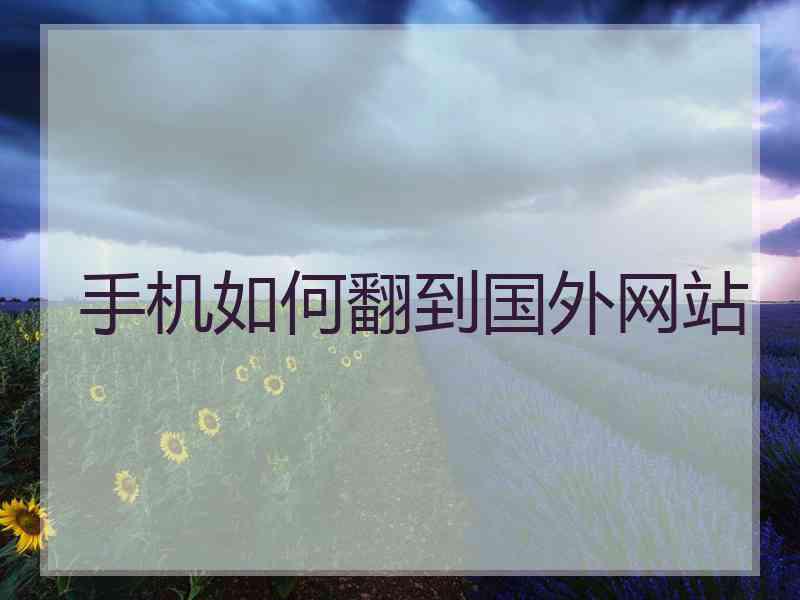 手机如何翻到国外网站