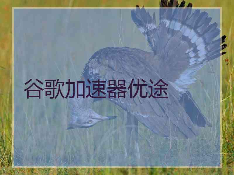 谷歌加速器优途