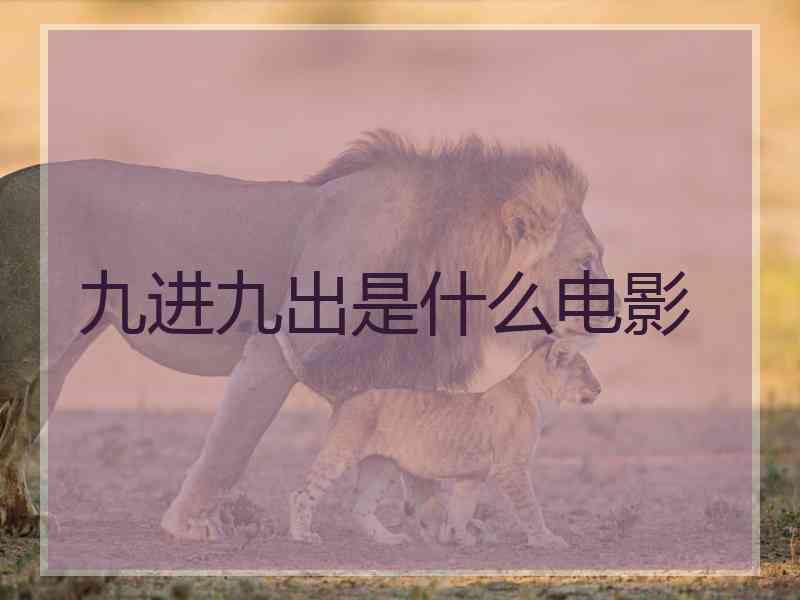 九进九出是什么电影
