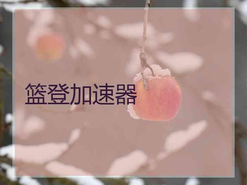 篮登加速器