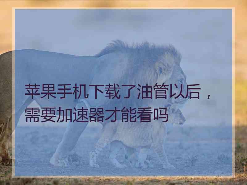 苹果手机下载了油管以后，需要加速器才能看吗