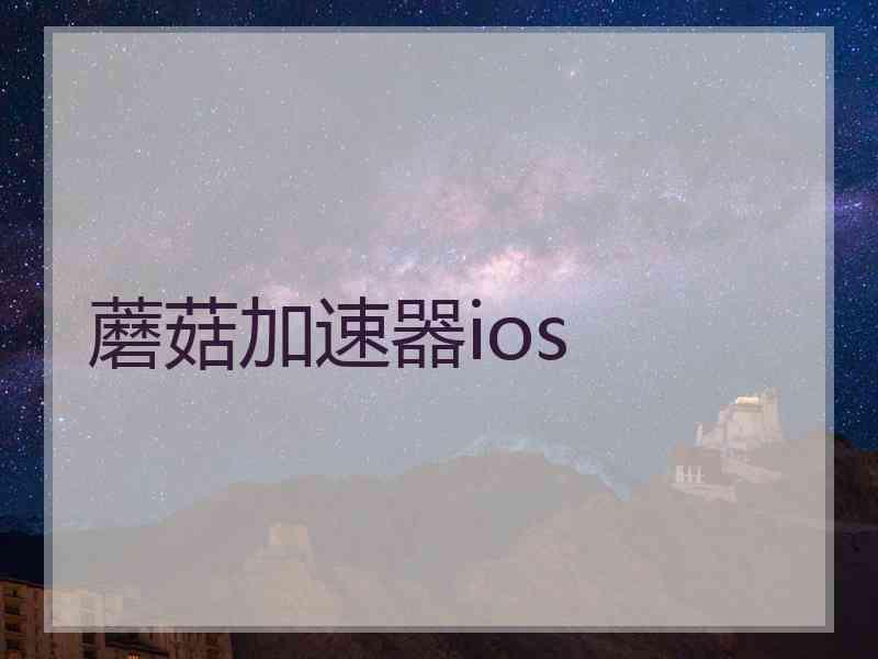 蘑菇加速器ios