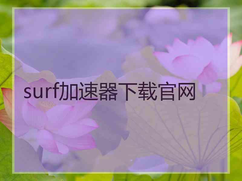 surf加速器下载官网