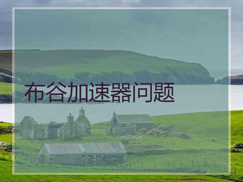 布谷加速器问题