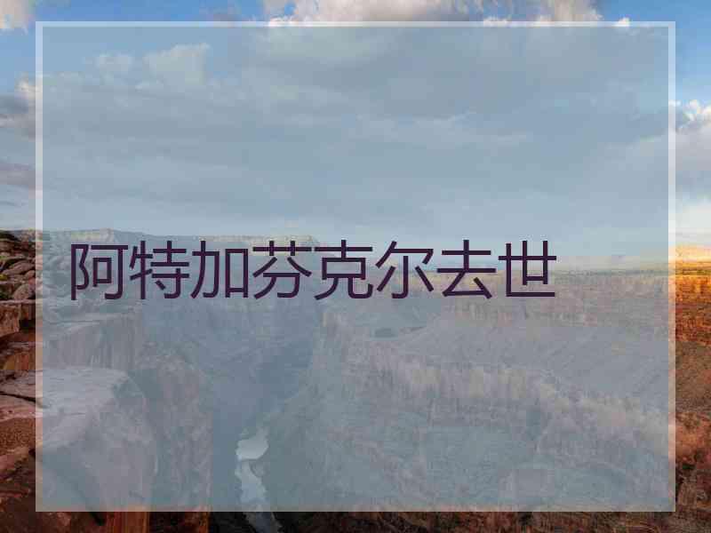 阿特加芬克尔去世