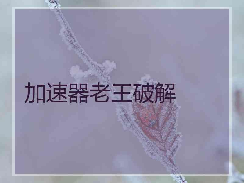 加速器老王破解