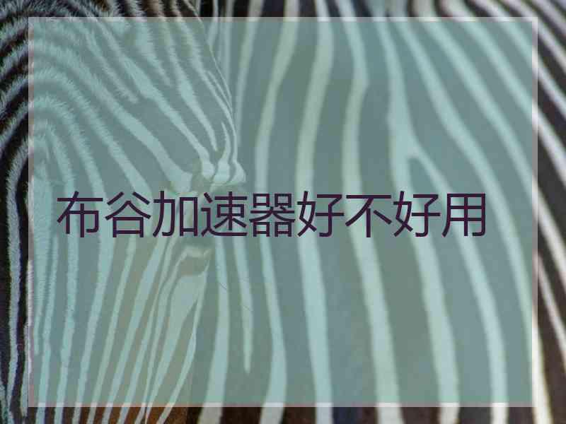 布谷加速器好不好用