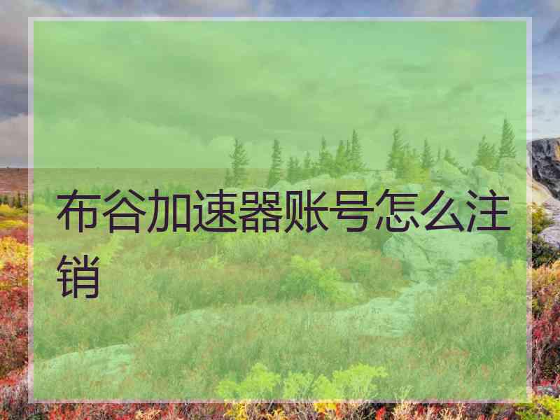布谷加速器账号怎么注销