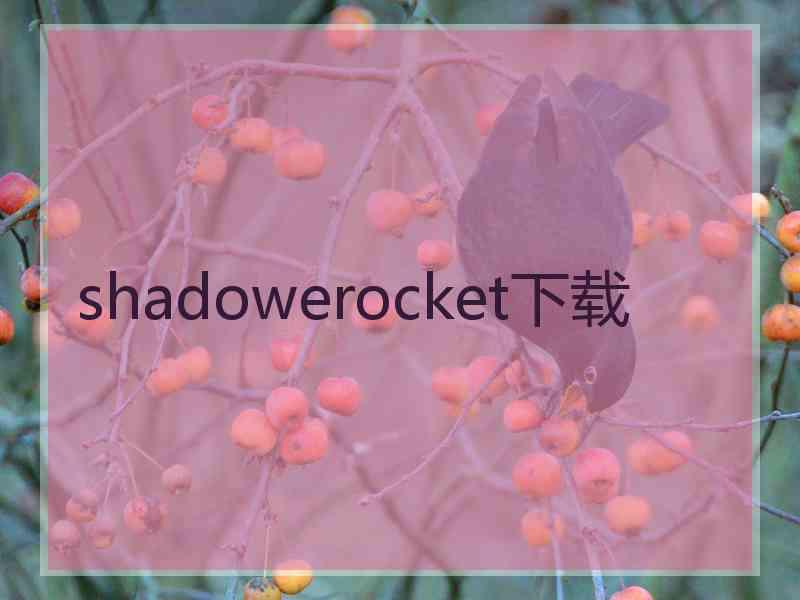 shadowerocket下载