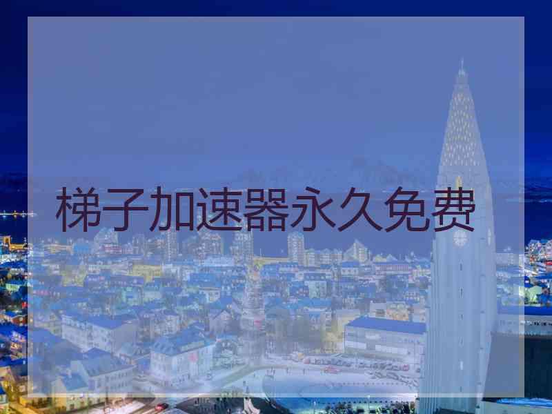 梯子加速器永久免费
