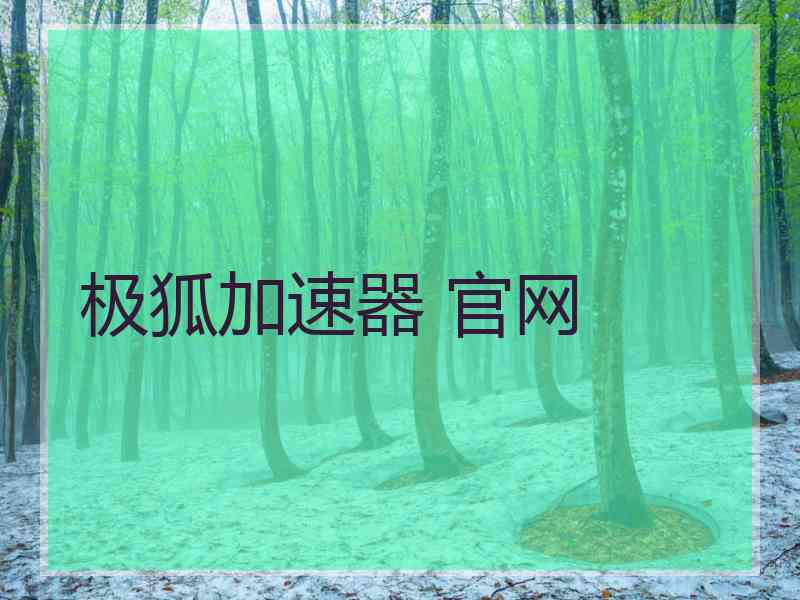 极狐加速器 官网