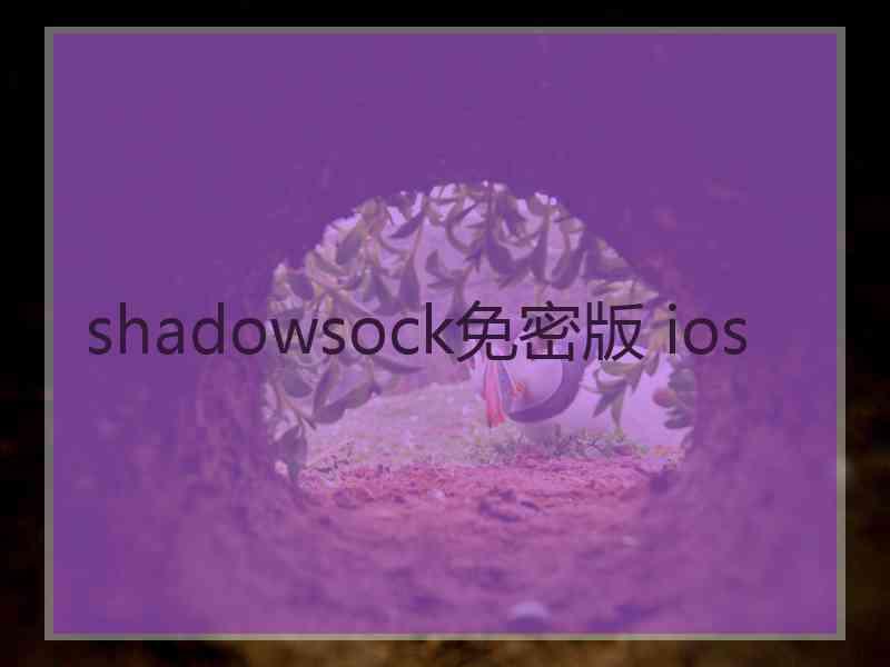 shadowsock免密版 ios