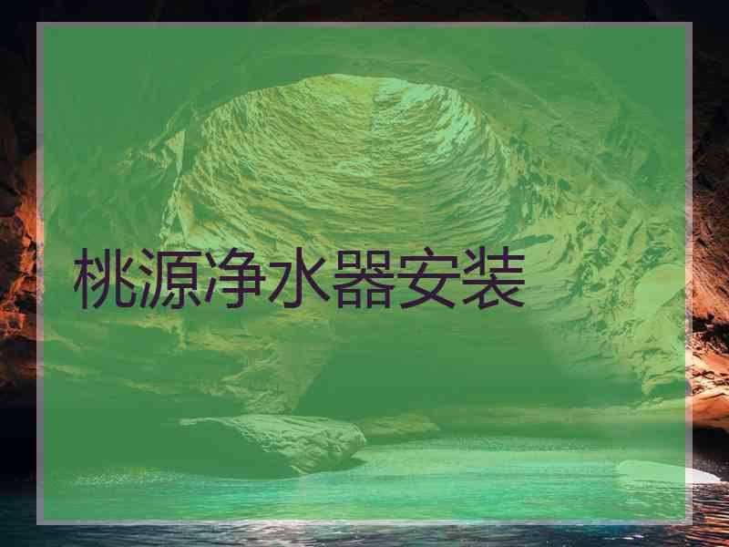 桃源净水器安装